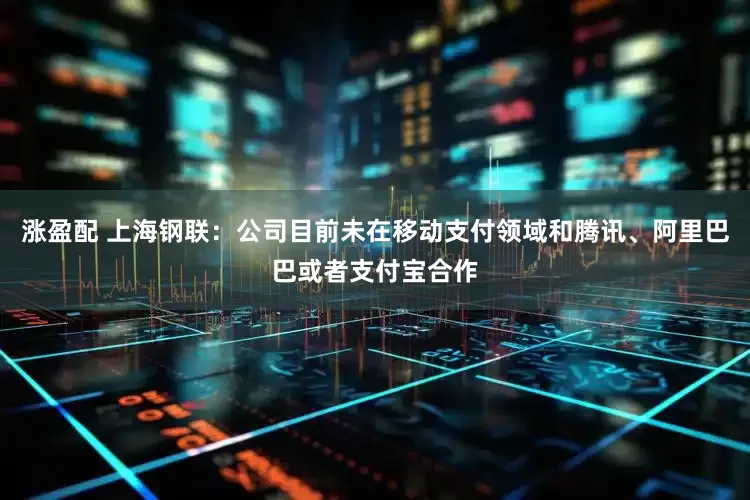 涨盈配 上海钢联：公司目前未在移动支付领域和腾讯、阿里巴巴或者支付宝合作