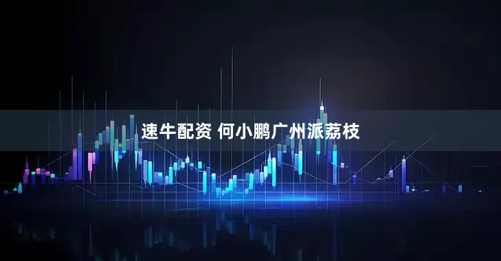 速牛配资 何小鹏广州派荔枝