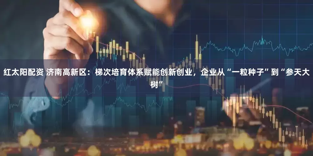 红太阳配资 济南高新区：梯次培育体系赋能创新创业，企业从“一粒种子”到“参天大树”