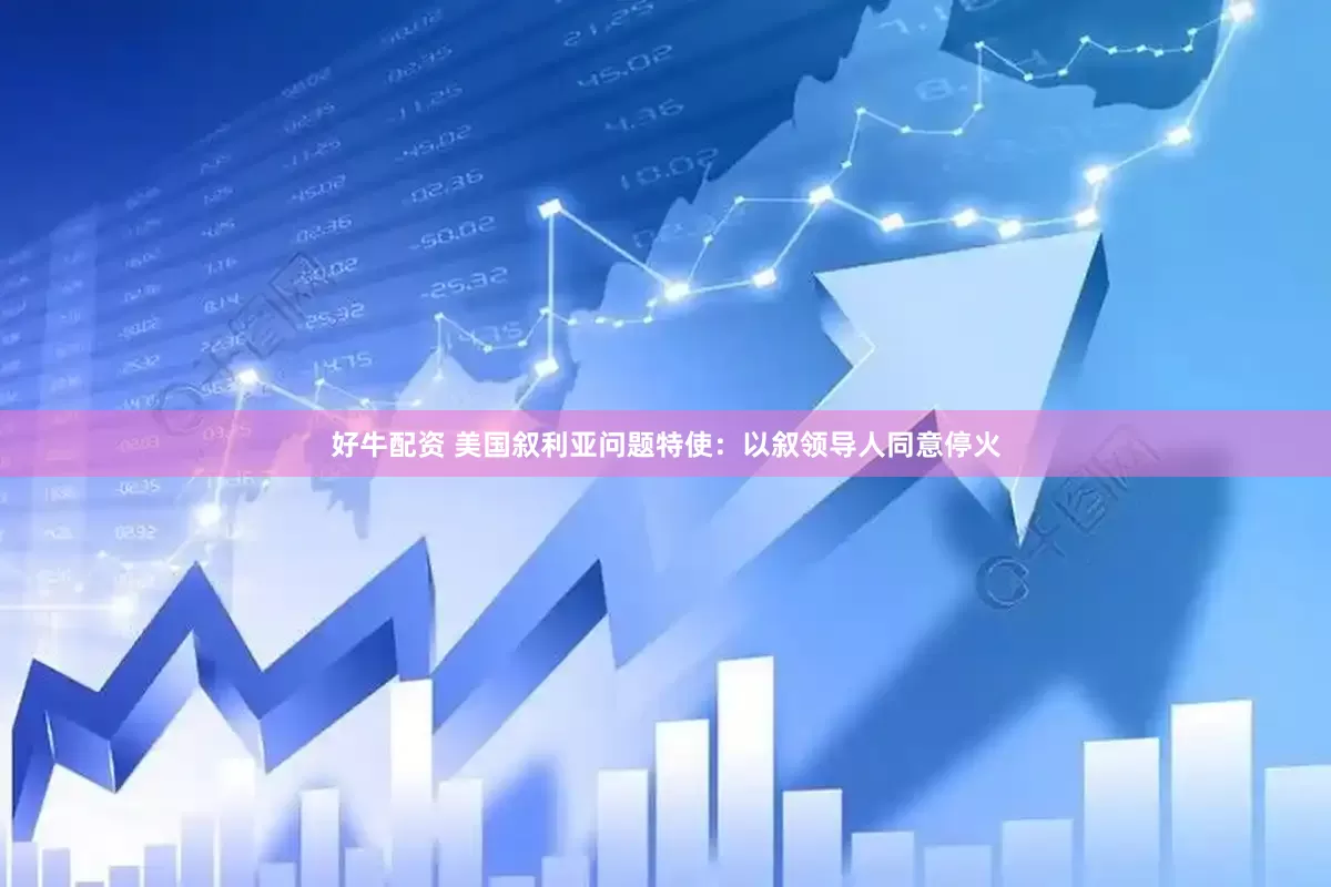 好牛配资 美国叙利亚问题特使：以叙领导人同意停火