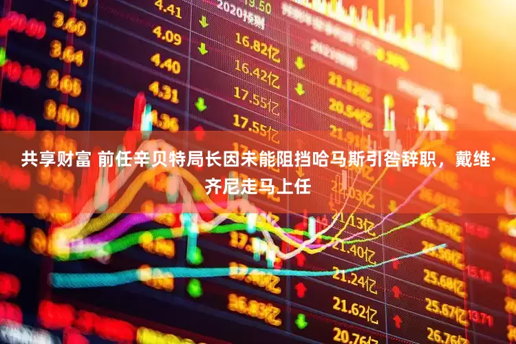 共享财富 前任辛贝特局长因未能阻挡哈马斯引咎辞职，戴维·齐尼走马上任