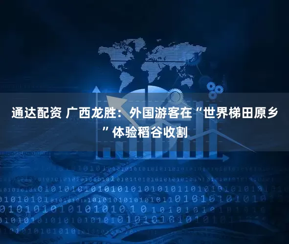 通达配资 广西龙胜：外国游客在“世界梯田原乡”体验稻谷收割