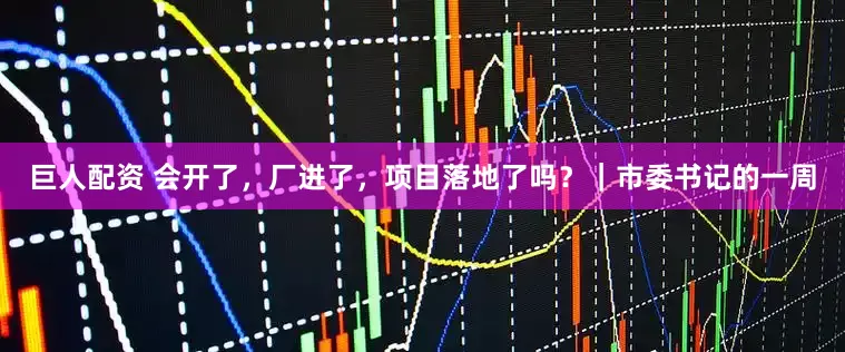 巨人配资 会开了，厂进了，项目落地了吗？｜市委书记的一周
